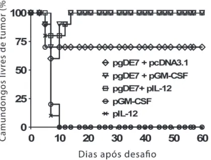 Figura 2 – Coadministração do vetor pgDE7 e de plasmídeos que codificam para IL-12  ou GM-CSF confere proteção terapêutica a desafios de células TC-1