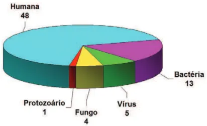 Figura 3 – Enzimas como alvos moleculares de fármacos aprovados pelo FDA (Robert- (Robert-son, 2005).