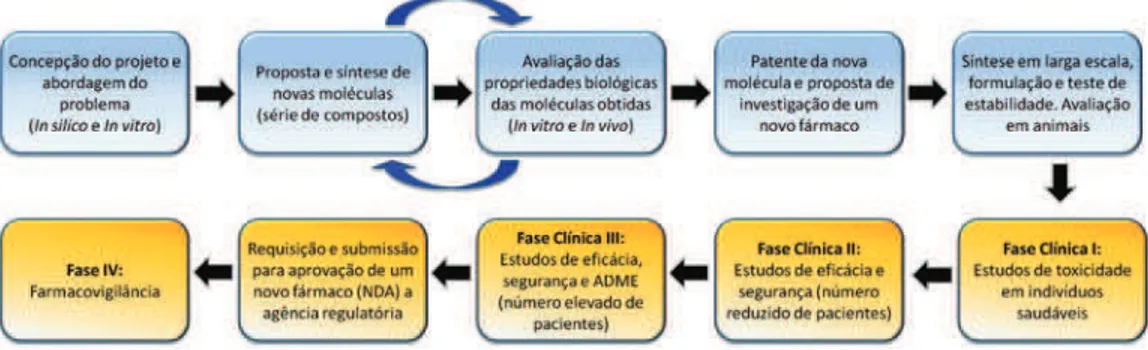 Figura 1 – Etapas envolvidas no processo de descoberta e desenvolvimento de fármacos  (ADME – absorção, distribuição, metabolismo e excreção; NDA – solicitação  para um novo fármaco, do inglês new drug application).