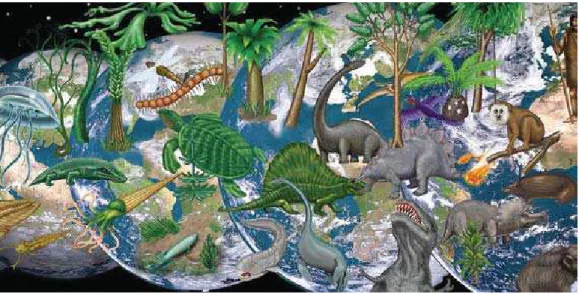 Figura 2 – Os fósseis mostram que a evolução transformou as características dos seres  vivos ao longo do tempo, gerando diversidade biológica e permitindo que  muitos nichos disponíveis na biosfera fossem ocupados