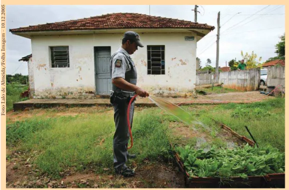 Foto Lalo de Almeida