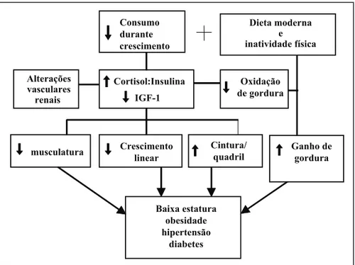 Gráfico 6 – Recuperação de estatura de crianças desnutridas atendidas pelo CREN.