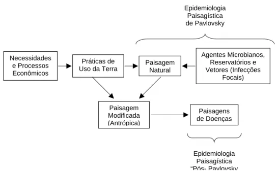 Figura 2 - Epidemiologia Paisagística 