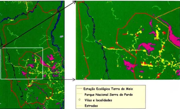 Figura 7 – Ampliação de uma das áreas críticas da Reserva Ecológica da Terra do Meio, cortada pela estrada da Canopus com limites próximos da vila Canopus