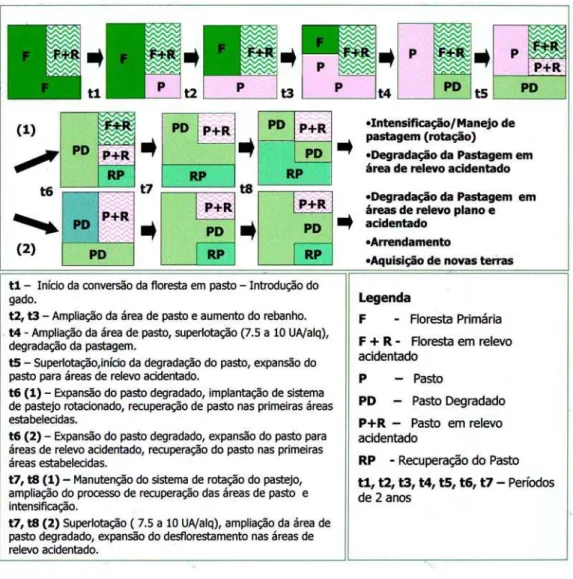 Figura 5 – Modelo da Pecuária em São Félix do Xingu e os fatores condicionantes.