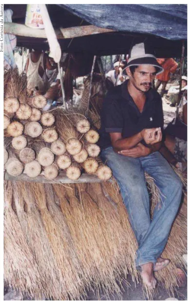 Foto Cor