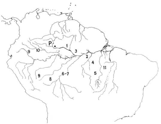 Figura 1 – Mapa com a localização das áreas da Amazônia onde foram coligidos, em anos recentes, os indícios paleoecológicos para períodos climáticos secos e mudanças da vegetação associadas ao Pleistoceno tardio (veja texto para explicação dos números)