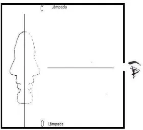 Figura 1 : Desenho Esquemático da Caixa Utilizada na Pesquisa. A Linha Tra- Tra-cejada na Frente do Reverso da Máscara Representa a Percepção Ilusória  da  Face  Possibilitada  Pela  Inversão  da  Profundidade  Visual