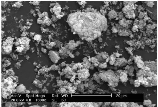 Fig. 2. SEM image of xylan powder after extraction from corn cobs (Oliveira et al., 2010)