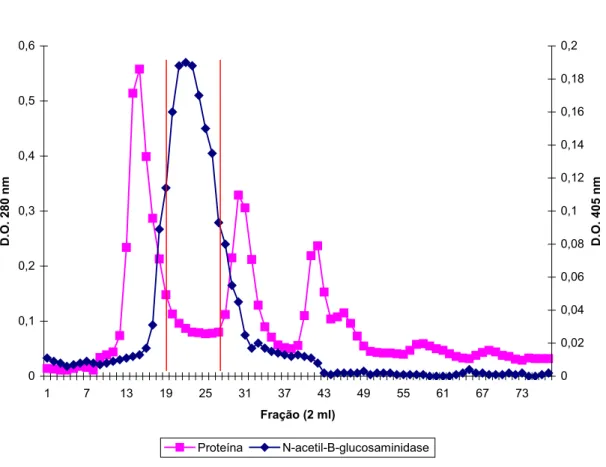 Figura 07- Perfil de eluição de FIII em cromatografia de exclusão molecular (Sephacryl S- S-200).