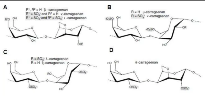 Figura  2.  Estrutura  química  das  carragenanas.  Unidades  dissacarídicas  das  principais  carragenanas que diferem em padrões de sulfatação (A-D ) e na substituição da α-D-galactose  por  3,6-anidro- α-D-galactose  (A  e  D)