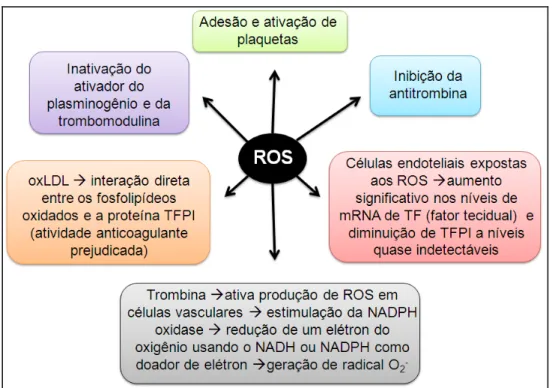 Figura  7.  Esquema  da  ação  das  ROS  sobre  os  componentes  da  hemostasia.  ROS:  espécies reativas do oxigênio; TF: fator tecidual; TFPI: inibidor da via do fator tecidual; oxLDL:  lipoproteína de baixa densidade oxidada; NADH: nicotinamida adenina 