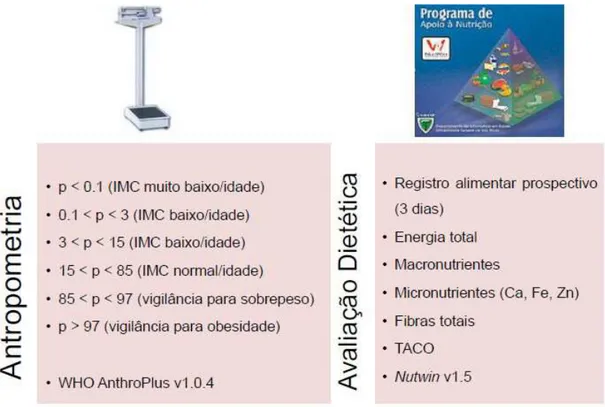 Figura 4: Esquema da avaliação do estado nutricional. 