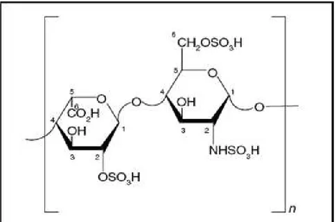 Figura 1: Principal unidade dissacarídica componente da heparina. 
