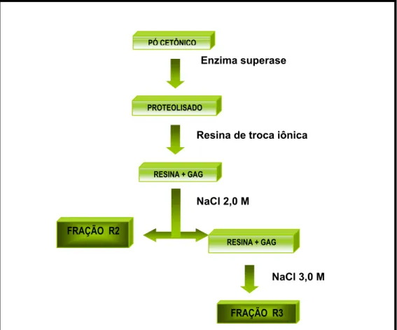 Figura 6: Esquema de extração dos GAGS  do crustáceo.