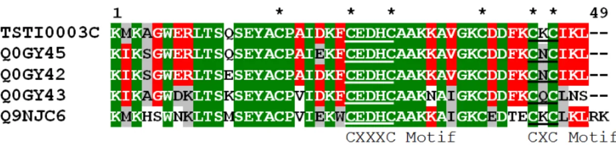 Figura 8   Alinhamento da sequência de aminoácidos do   TSTI0003C com toxinas conhecidas de canais  para potássio (β KTX)