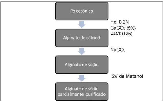 Figura  8  -  Metodologia  extração  do  ácido  algínico  descrita  por  CAMERON  e  col