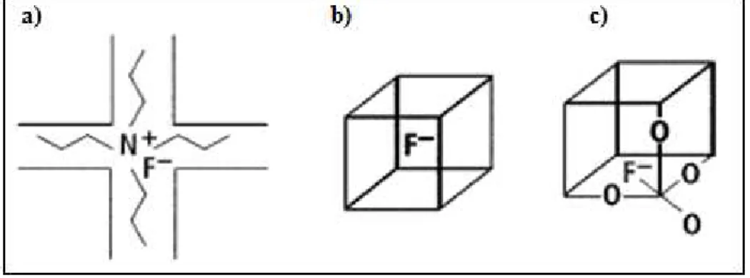 Figura  2.7  Representação  esquemática  dos  três  tipos  de  ambientes  de  íons  F -