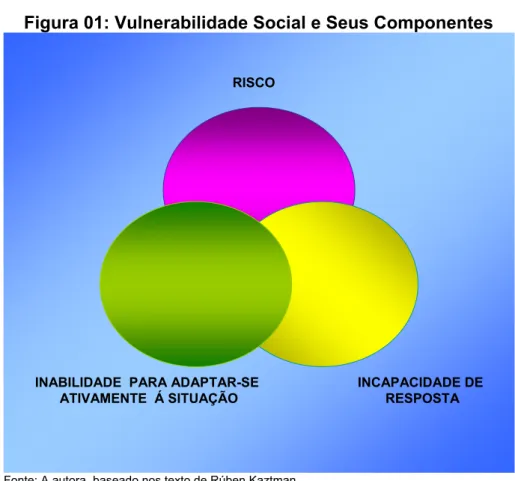 Figura 01: Vulnerabilidade Social e Seus Componentes
