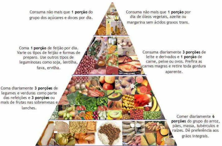 Figura 08. Adaptação regional “Guia Alimentar da Pirâmide” de PHILIPPI et. alli. 1999