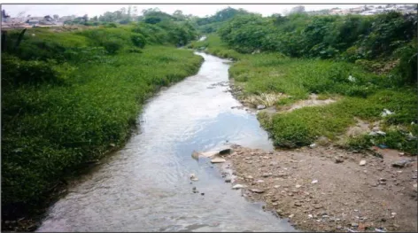 Foto 02: Rio Verruga no canal que cruza com o anel viário Fonte: Secretaria Municipal de Meio Ambiente, 2007.