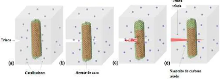 Figura 2.9 - Mecanismo de propagação e auto-reparo de trinca. (a) Trinca originada; (b) Propagação;  (c) Ruptura de nanoreservatório e liberação do agente de cura; (d) Reparo de trinca