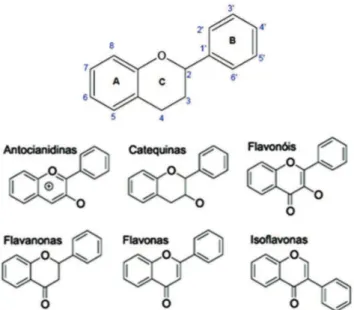 Figura 2 –  Estrutura básica dos flavonoides e de diferentes subgrupos de flavonoides  (MARÇO et al., 2008)