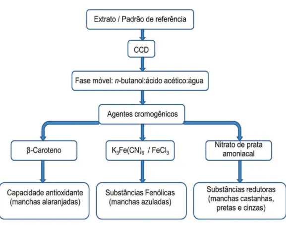 Figura 8 –  Esquema  para  a  detecção  de  substâncias  químicas  com  capacidade  antioxidante