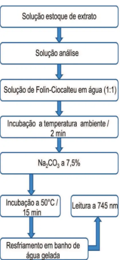 Figura 9 –  Fluxograma da determinação do teor de fenólicos totais.  4.4.3 Determinação do teor de flavonoides totais  