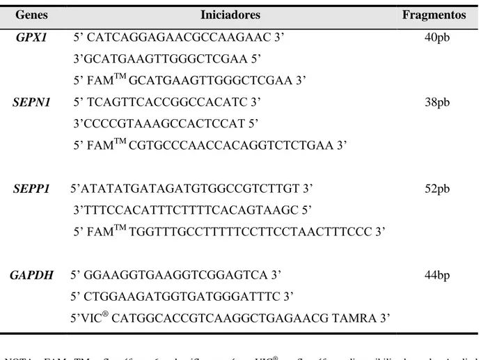 TABELA  1  –  Iniciadores  e  sondas  utilizados  nas  reações  de  PCR  em  tempo  real  para  a  avaliação da expressão dos genes GPX1, SEPP1, SEPN1 e GAPDH