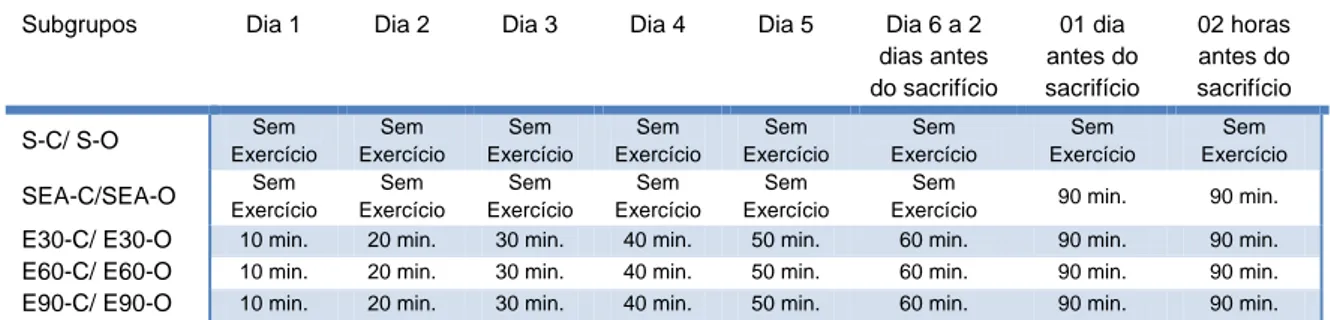 Tabela 1 – Protocolo de exercício atribuído a cada Subgrupo Sedentário Controle (S-C) e Sedentário  Ooforectomizado (S-O); Sedentário Exercício Agudo Controle (SEA-C) e Sedentário Exercício Agudo  Ooforectomizado (SEA-O); Exercitado 30 dias C) e Exercitado