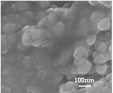 Figura  14  -  Imagem  Microscopia  eletrônica  de  varredura  adaptada,  para  calcinação  720°C via Pechine adaptada de (71)