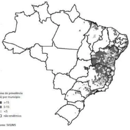 FIGURA 1 - Áreas endêmicas e focais da esquistossomose mansoni. Fonte: SVS/MS, Brasil 2009