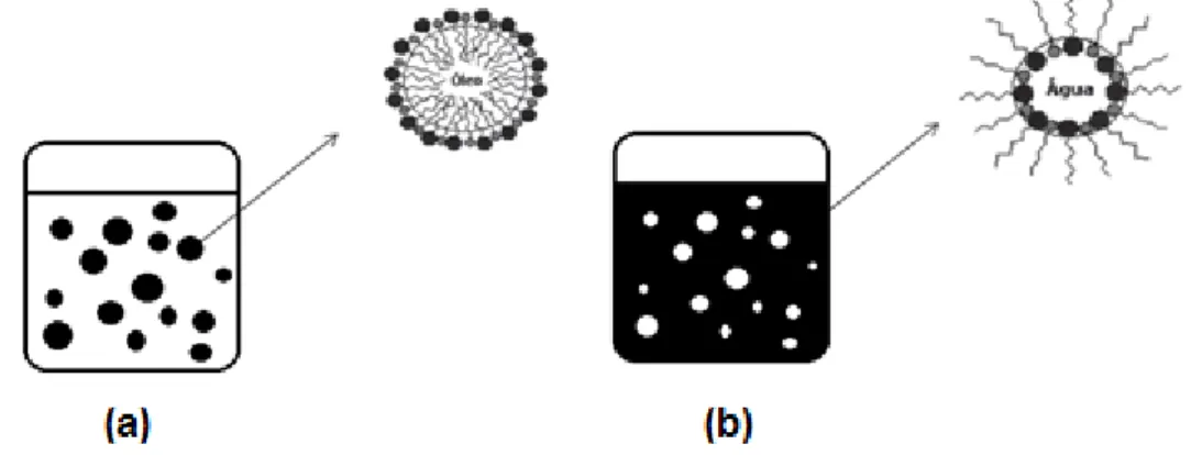 FIGURA  3  -  Representação  esquemática  de  emulsões  do  tipo  O/A  (a)  e  A/O  (b)