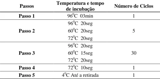 TABELA 3  – Programa de PCR LABtype® SSO 