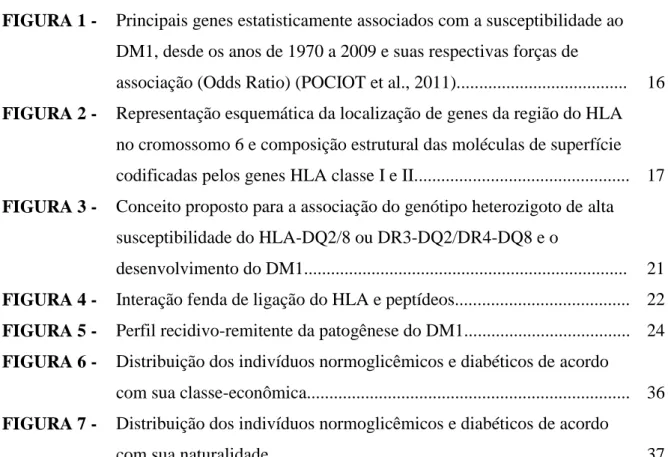 FIGURA 1 -  Principais genes estatisticamente associados com a susceptibilidade ao  DM1, desde os anos de 1970 a 2009 e suas respectivas forças de 