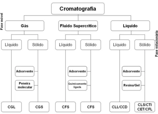 FIGURA  2  –  Tipos  de  Cromatografia  de  acordo  com  a  fase  estacionária  e  a  fase  móvel