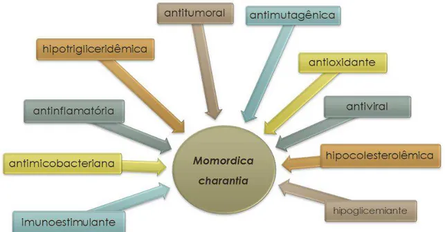 FIGURA 2 – Propriedades medicinais da Momordica charantia. 