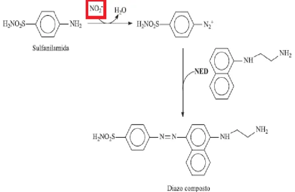 FIGURA 4 - Mecanismo de reação do nitrito com reagente de Griess. 