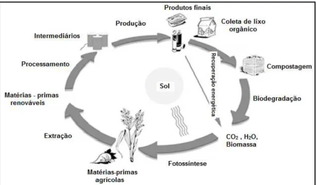 Figura 1: Ciclo de vida de materiais provenientes de fontes renováveis e 