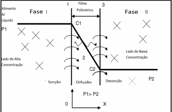 Figura 6: Mecanismo de permeação de permeantes de maior concentração (C1) à 