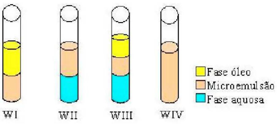 Figura 2.5 Classificação das fases de Winsor