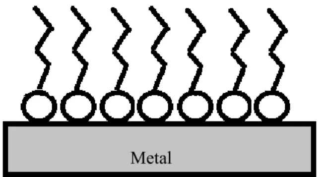 Figura 2.9 Representação da formação de monocamada na superfície metálica