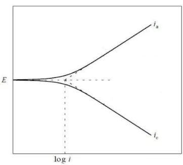 Figura 2.12 – Representação da extrapolação da curva de Tafel