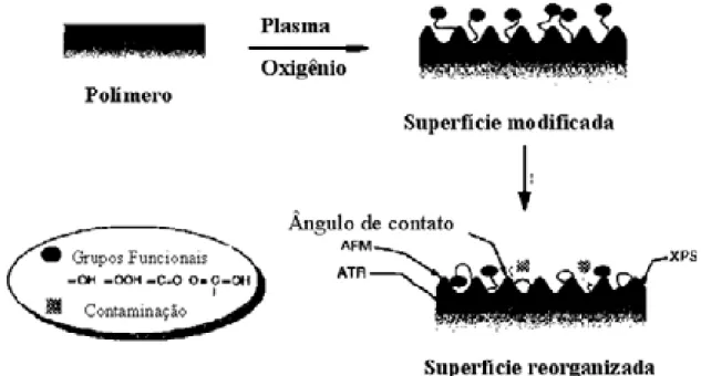 Figura 2.11 – Representação esquemática das mudanças superficiais induzidas por plasma nos  filmes de poliéster (42)