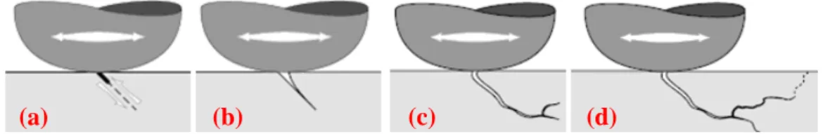 Figura 10 – Mecanismos de formação e propagação de trinca durante o processo de fadiga  (STACHOWIAK e BATCHELOR, 1996)