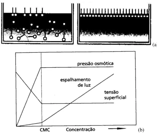 Figura 2. 12. Mudanças nas propriedades físico-químicas na formação das micelas. (a): Etapas  da migração do tensoativo e (b): Variação das propriedades físico-químicas da solução