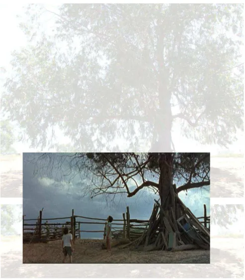 Figura  10  ”  Sopreposição  de  fotografia  de  um  local  da  Fazenda  Barreirinho  e  de  uma  cena  de  Mutum  realizada no mesmo local