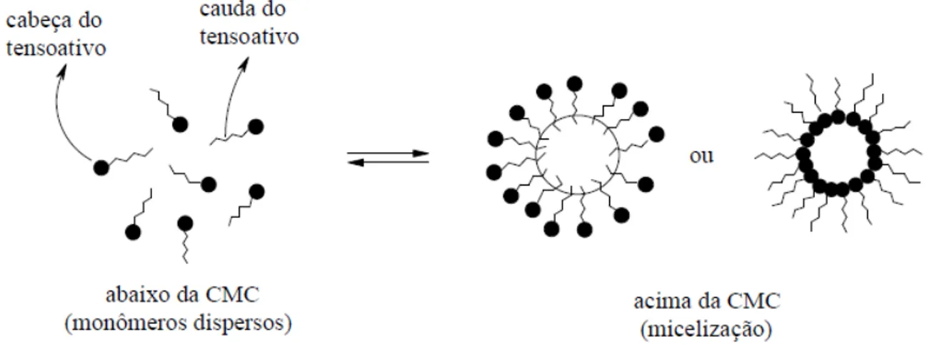 Figura 8: Representação esquemática da formação de micelas direta e inversa. 