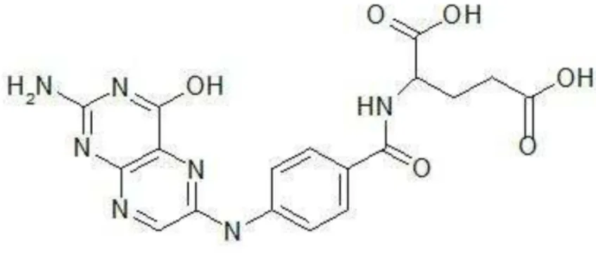 Figura 1. Representação esquemática da estrutura química do ácido fólico. 